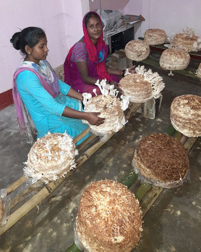Women Empowerment